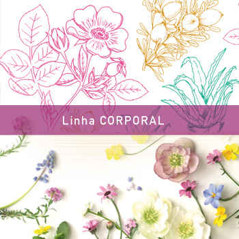 Linha corporal